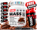 Basic Supplements Mass Gainer – 2lb